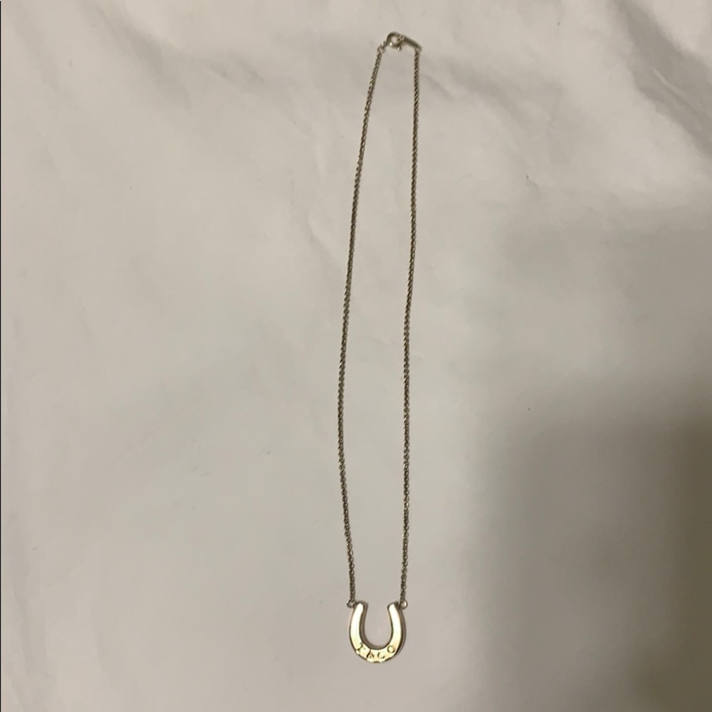Tiffany & Co discontinued horseshoe pendant